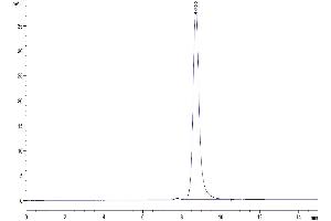 The purity of Human B2M is greater than 95 % as determined by SEC-HPLC.