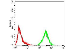 Flow cytometric analysis of HeLa cells using Eralpha(Tyr-537) mouse mAb (green) and negative control (red). (Estrogen Receptor alpha antibody  (pTyr537))