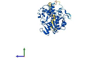 AlphaFold protein structure predicition of Human Recombinant A4GALT Protein, UniprotID Q9NPC4