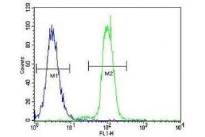 KLF4 antibody flow cytometric analysis of K562 cells (right histogram) compared to a negative control (left histogram). (KLF4 antibody  (AA 394-421))
