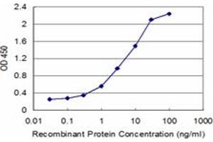ELISA image for anti-Replication Factor C (Activator 1) 1, 145kDa (RFC1) (AA 1-110) antibody (ABIN562632)