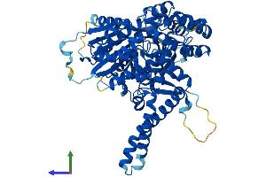 Protein Structure (PS) image for Vacuolar Protein Sorting 33 Homolog A (VPS33A) (AA 1-596) protein (His tag) (ABIN7556013)