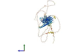Protein Structure (PS) image for SH2B Adaptor Protein 3 (SH2B3) (AA 1-575) protein (His tag) (ABIN7546120)