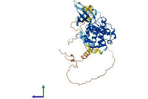 AlphaFold protein structure predicition of Mouse Recombinant Cdk15 Protein, UniprotID Q3V3A1