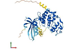 AlphaFold protein structure predicition of Mouse Recombinant Cdk6 Protein, UniprotID Q64261 (CDK6 Protein (AA 1-326) (His tag))