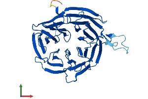 Protein Structure (PS) image for WD Repeat Domain 45B (WDR45B) (AA 1-344) protein (His tag) (ABIN7545169)