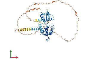 AlphaFold protein structure predicition of Human Recombinant MAGEC2 Protein, UniprotID Q9UBF1 (MAGEC2 Protein (AA 1-373) (His tag))