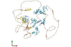AlphaFold protein structure predicition of Human Recombinant ZNF408 Protein, UniprotID Q9H9D4
