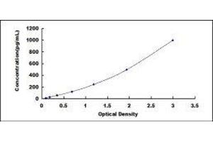 Neuronal Pentraxin 1 (NPX1) ELISA Kit