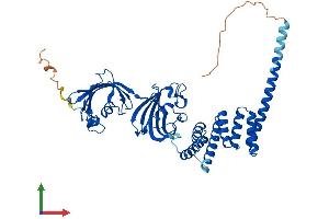 AlphaFold protein structure predicition of Mouse Recombinant Fkbp4 Protein, UniprotID P30416 (FKBP4 Protein (AA 1-458) (His tag))