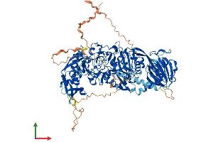 AlphaFold protein structure predicition of Mouse Recombinant Dgkq Protein, UniprotID Q6P5E8 (DGKQ Protein (AA 1-934) (His tag))