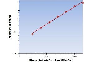 This is an example of what a typical standard curve will look like. (CA9 ELISA Kit)