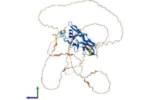 AlphaFold protein structure predicition of Mouse Recombinant Tbx22 Protein, UniprotID Q8K402 (T-Box 22 Protein (TBX22) (AA 1-517) (His tag))