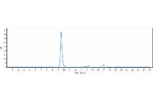 anti-INHBA (Garetosmab Biosimilar) antibody