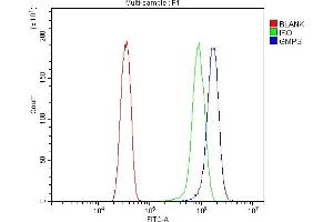 Flow Cytometry analysis of HELA cells using anti-GMPS antibody (ABIN7600629). (GMP Synthase antibody  (AA 21-671))