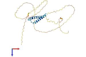 AlphaFold protein structure predicition of Human Recombinant FRG2C Protein, UniprotID A6NGY1 (FRG2C Protein (AA 1-282) (His tag))