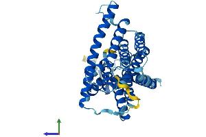 AlphaFold protein structure predicition of Mouse Recombinant Sgpp2 Protein, UniprotID Q810K3