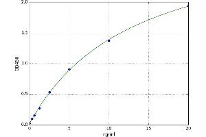 Dystrophin (DMD) ELISA Kit