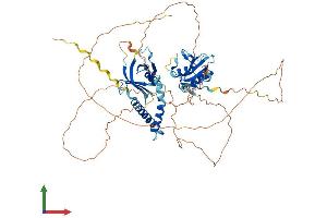 AlphaFold protein structure predicition of Human Recombinant SH2B2 Protein, UniprotID O14492