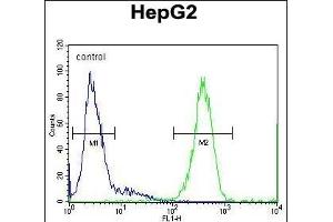 SOHLH1 Antibody (N-term) (ABIN654873 and ABIN2844530) flow cytometric analysis of HepG2 cells (right histogram) compared to a negative control cell (left histogram). (SOHLH1 antibody  (N-Term))