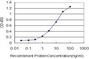 Detection limit for recombinant GST tagged HNRNPG-T is approximately 0. (RBMXL2 antibody  (AA 1-90))
