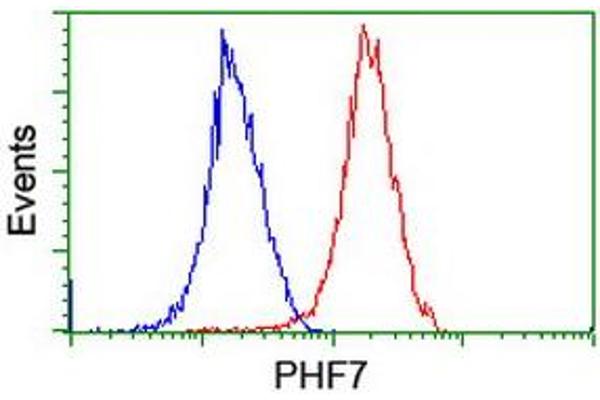 PHF7 antibody  (AA 155-381)