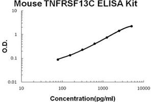 Mouse TNFRSF13C/BAFFR Accusignal ELISA Kit Mouse TNFRSF13C/BAFFR AccuSignal ELISA Kit standard curve. (TNFRSF13C ELISA Kit)