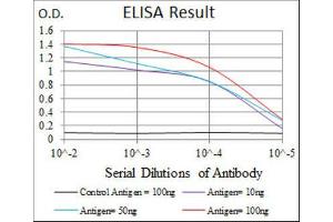 ELISA image for anti-Thrombopoietin (THPO) antibody (ABIN1844325) (Thrombopoietin antibody)