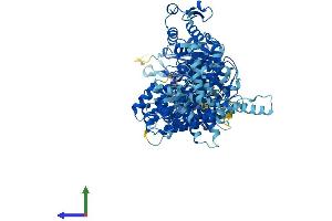 AlphaFold protein structure predicition of Human Recombinant HERC4 Protein, UniprotID Q5GLZ8