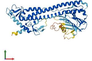 Protein Structure (PS) image for Tripartite Motif Containing 49B (TRIM49B) (AA 1-452) protein (His tag) (ABIN7544734)