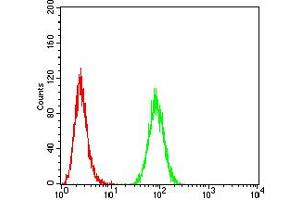 Flow cytometric analysis of Hela cells using ANAPC1 mouse mAb (green) and negative control (red). (APC1 antibody  (AA 12-155))