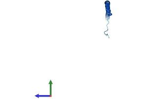 AlphaFold protein structure predicition of Human Recombinant ATP6V1G3 Protein, UniprotID Q96LB4 (ATP6V1G3i Protein (AA 1-118) (His tag))