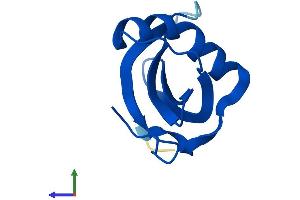 AlphaFold protein structure predicition of Mouse Recombinant Csta Protein, UniprotID P56567 (CSTA Protein (AA 1-97) (His tag))