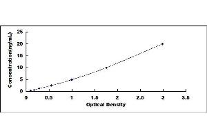 Typical standard curve (Caspase 8 ELISA Kit)