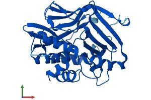 Protein Structure (PS) image for Solute Carrier Family 38 Member 4 (SLC38A4) (AA 1-290) protein (His tag) (ABIN7563358)