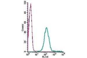 Flow Cytometry (FACS) image for anti-Calcitonin Receptor-Like (CALCRL) (AA 127-140), (Extracellular) antibody (ABIN7042979)