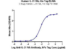 ELISA image for Interleukin 31 Receptor A (IL31RA) (AA 20-519) protein (His tag) (ABIN7275018)