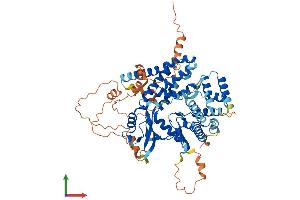 AlphaFold protein structure predicition of Mouse Recombinant Adck2 Protein, UniprotID Q6NSR3
