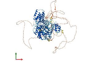 AlphaFold protein structure predicition of Human Recombinant ALPK1 Protein, UniprotID Q96QP1 (ALPK1 Protein (AA 1-1244) (His tag))