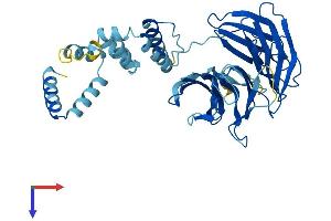 FBXW2 Protein (AA 1-422) (His tag)
