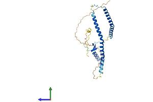 AlphaFold protein structure predicition of Human Recombinant NSL1 Protein, UniprotID Q96IY1 (NSL1 Protein (AA 1-281) (His tag))
