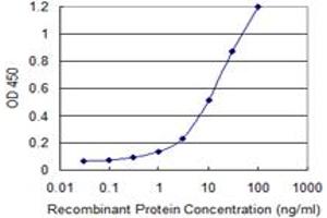 Detection limit for recombinant GST tagged IL18RAP is 0. (IL18RAP antibody  (AA 20-129))