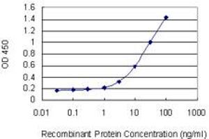 Detection limit for recombinant GST tagged CD1C is 0. (CD1c antibody  (AA 77-185))