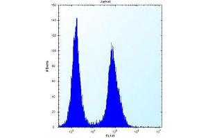 Flow cytometric analysis of Jurkat cells using Galectin-4 Antibody (N-term) Cat. (GAL4 antibody  (N-Term))