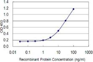 Detection limit for recombinant GST tagged ZNF100 is 0. (ZNF100 antibody  (AA 99-206))