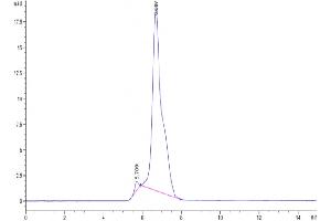 Size-exclusion chromatography-High Pressure Liquid Chromatography (SEC-HPLC) image for Fms-Related tyrosine Kinase 3 (FLT3) (AA 28-541) protein (Fc Tag) (ABIN7274655)