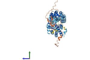 AlphaFold protein structure predicition of Human Recombinant SVOP Protein, UniprotID Q8N4V2 (SVOP Protein (AA 1-548) (His tag))