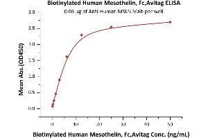 ELISA image for Mesothelin (MSLN) (AA 296-580) protein (Fc Tag,AVI tag,Biotin) (ABIN6253196)