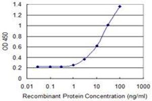 Detection limit for recombinant GST tagged LAIR1 is 0. (LAIR1 antibody  (AA 1-287))