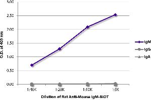 ELISA plate was coated with purified mouse IgM, IgG, and IgA. (Rat anti-Mouse IgM Antibody (Biotin))